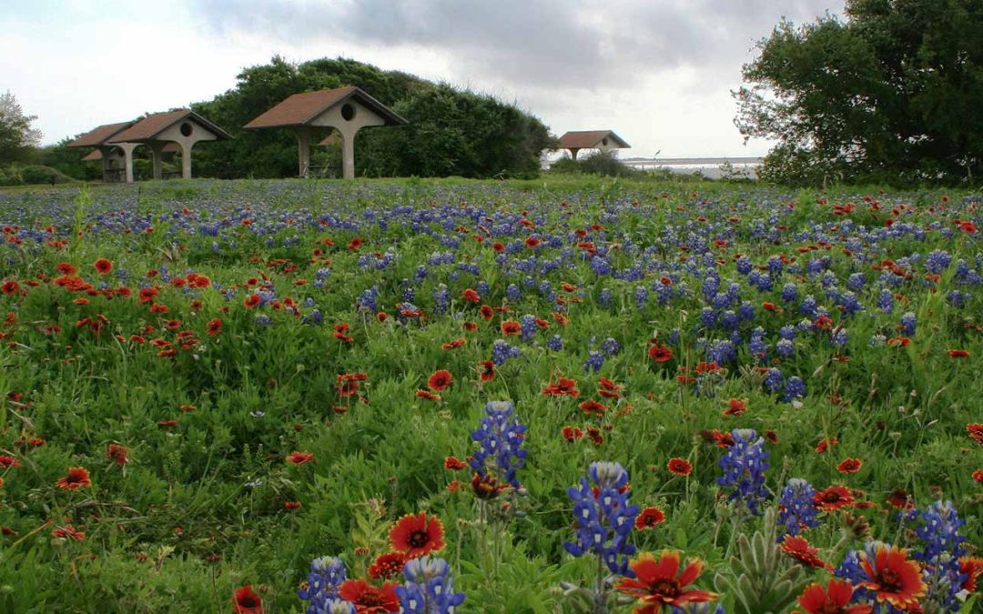 Explore Bowhunting Texas Parks & Wildlife